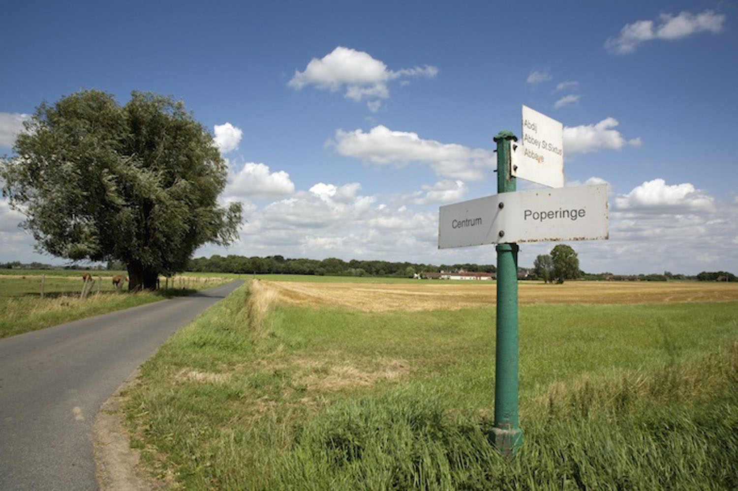 Top 5 Driving Roads in Belgium